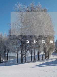 微粒货逾期2天怎么还 微粒货逾期2天怎么还
