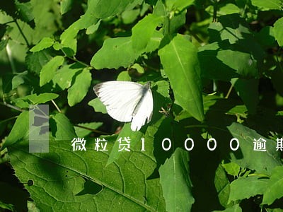 微粒贷10000逾期 微粒贷10000逾期