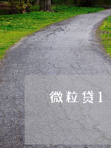 微粒贷1000逾期15天