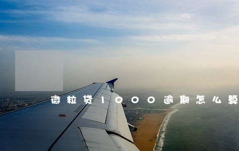 微粒贷1000逾期怎么算 微粒贷1000逾期怎么算