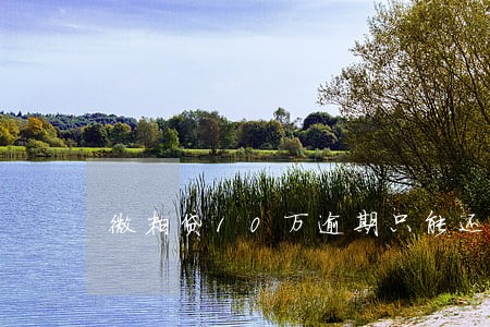 微粒贷10万逾期只能还本金吗 微粒贷10万逾期只能还本金吗