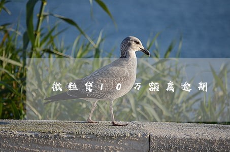 微粒贷10万额度逾期 微粒贷10万额度逾期