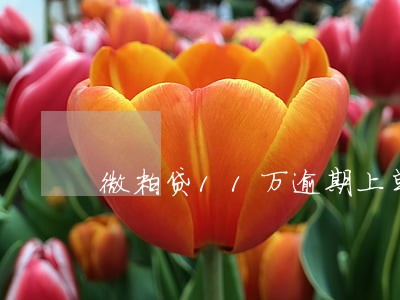 微粒贷11万逾期上单位 微粒贷11万逾期上单位