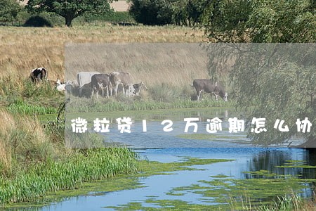 微粒贷12万逾期怎么协商处理 微粒贷12万逾期怎么协商处理