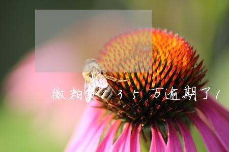 微粒贷135万逾期了11天 微粒贷135万逾期了11天