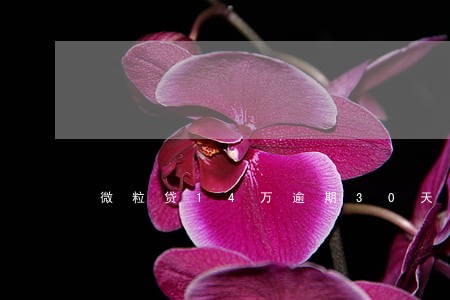 微粒贷14万逾期30天 微粒贷14万逾期30天