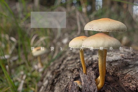 微粒贷14万逾期外包上门 微粒贷14万逾期外包上门