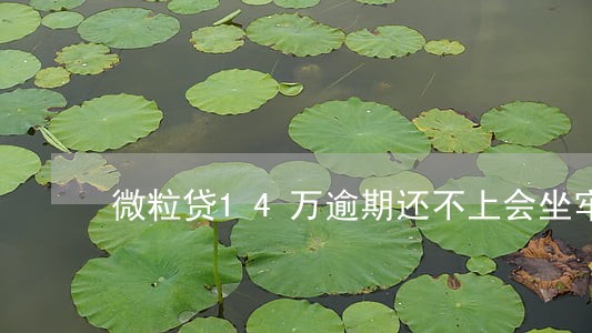 微粒贷14万逾期还不上会坐牢吗 微粒贷14万逾期还不上会坐牢吗