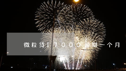 微粒贷17000逾期一个月