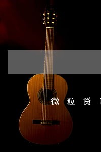 微粒贷1740逾期14天