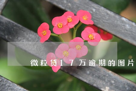 微粒贷17万逾期的图片 微粒贷17万逾期的图片