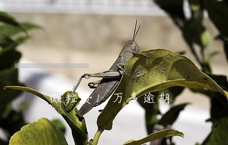 微粒贷1万多逾期 微粒贷1万多逾期