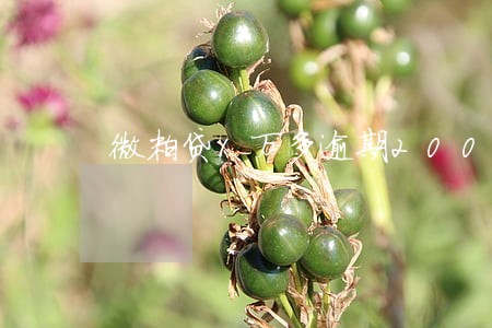 微粒贷1万多逾期200多天 微粒贷1万多逾期200多天