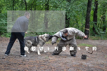 微粒贷1万逾期3个月 微粒贷1万逾期3个月