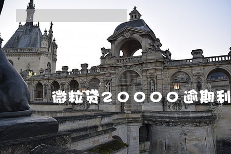 微粒贷20000逾期利息 微粒贷20000逾期利息