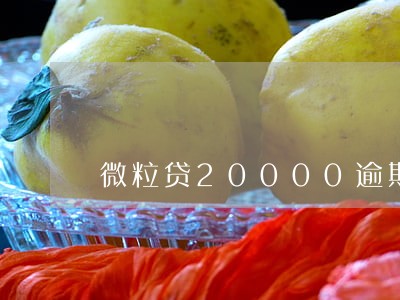 微粒贷20000逾期截图 微粒贷20000逾期截图