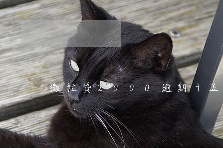 微粒贷2000逾期十五天 微粒贷2000逾期十五天