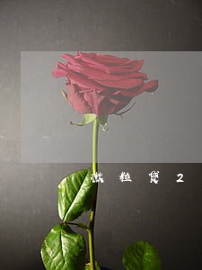 微粒贷20万逾期 微粒贷20万逾期