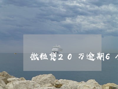 微粒贷20万逾期6个月 微粒贷20万逾期6个月