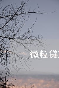 微粒贷20万逾期立案 微粒贷20万逾期立案