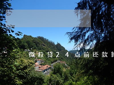微粒贷24点前还款算逾期吗 微粒贷24点前还款算逾期吗