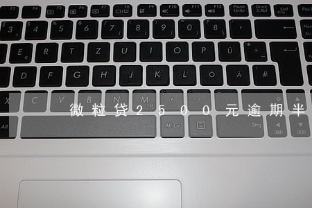 微粒贷2500元逾期半年