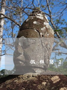 微粒贷2万逾期1年 微粒贷2万逾期1年