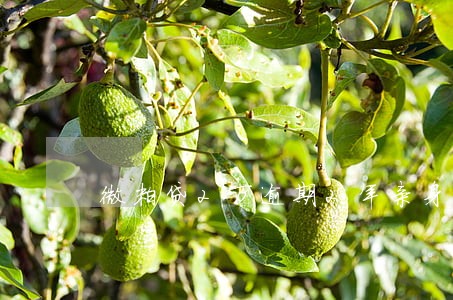 微粒贷2万逾期2年亲身经历 微粒贷2万逾期2年亲身经历