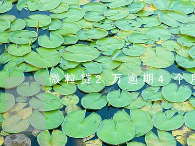 微粒贷2万逾期4个月会上门吗 微粒贷2万逾期4个月会上门吗