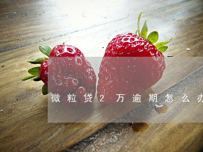 微粒贷2万逾期怎么办 微粒贷2万逾期怎么办