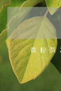 微粒贷2天算逾期吗 微粒贷2天算逾期吗