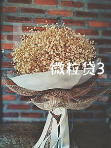 微粒贷3000块钱逾期