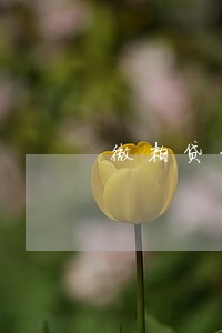 微粒贷3万逾期100天