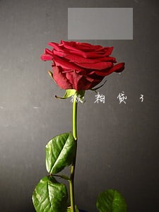 微粒贷3万逾期一年多了怎么办