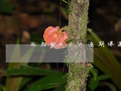 微粒贷400逾期爆通讯录 微粒贷400逾期爆通讯录