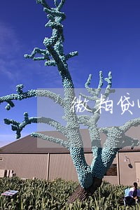 微粒贷44000元逾期了 微粒贷44000元逾期了