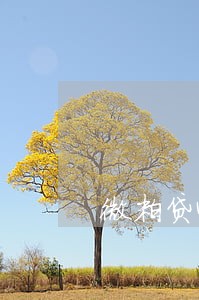 微粒贷4万多逾期