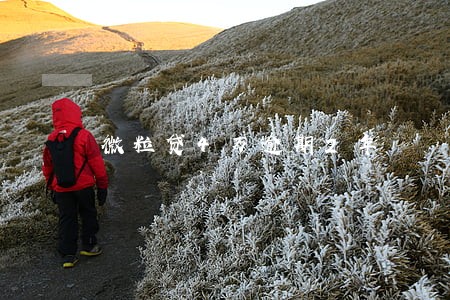 微粒贷4万逾期2年