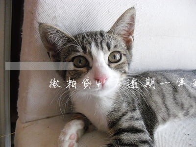 微粒贷4万逾期一年利息多少