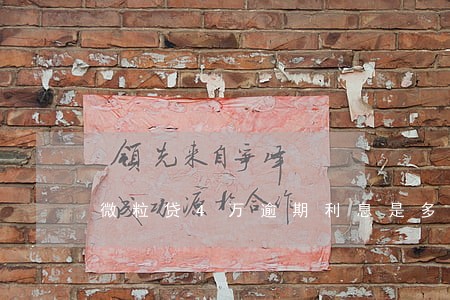 微粒贷4万逾期利息是多少 微粒贷4万逾期利息是多少