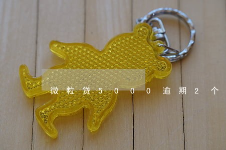微粒贷5000逾期2个月罚息 微粒贷5000逾期2个月罚息