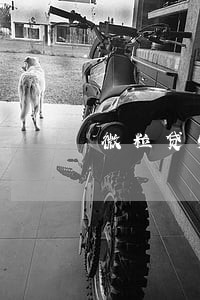 微粒贷5000逾期一年半 微粒贷5000逾期一年半