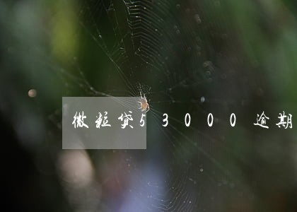微粒贷53000逾期了怎么办 微粒贷53000逾期了怎么办