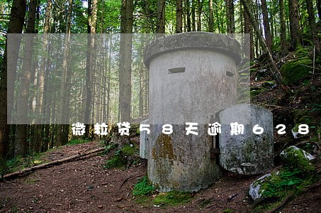 微粒贷58天逾期628块钱 微粒贷58天逾期628块钱