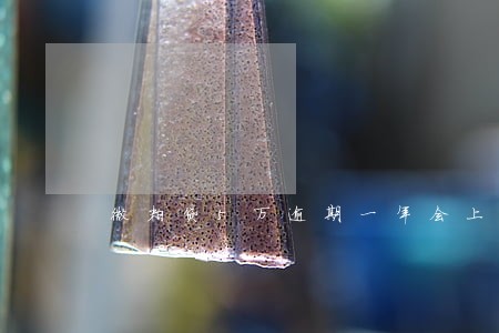 微粒贷5万逾期一年会上门吗 微粒贷5万逾期一年会上门吗