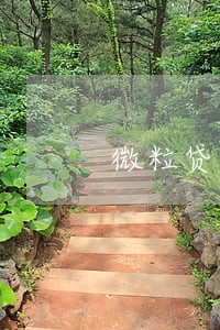 微粒贷6万2逾期半个月 微粒贷6万2逾期半个月