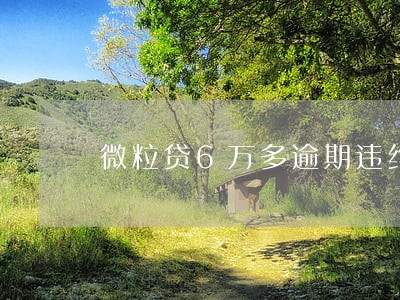 微粒贷6万多逾期违约金