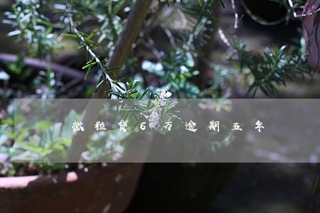 微粒贷6万逾期五年 微粒贷6万逾期五年