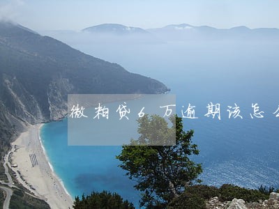 微粒贷6万逾期该怎么协商
