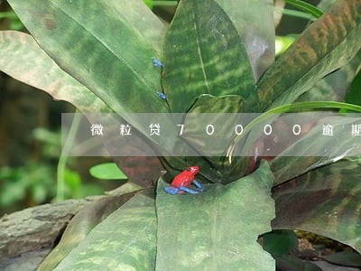 微粒贷70000逾期两个月 微粒贷70000逾期两个月